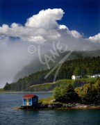 Harry's Harbour
